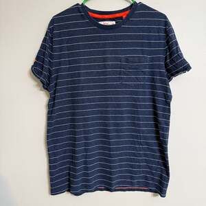 Superdry Men's Blue Stripe T-Shirt